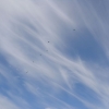 Parachute Jump Course062